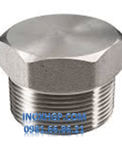 nắp bịt inox 4