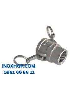 khớp nối nhanh inox kiểu D