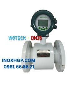 đồng hồ nước điện tử woteck DN25