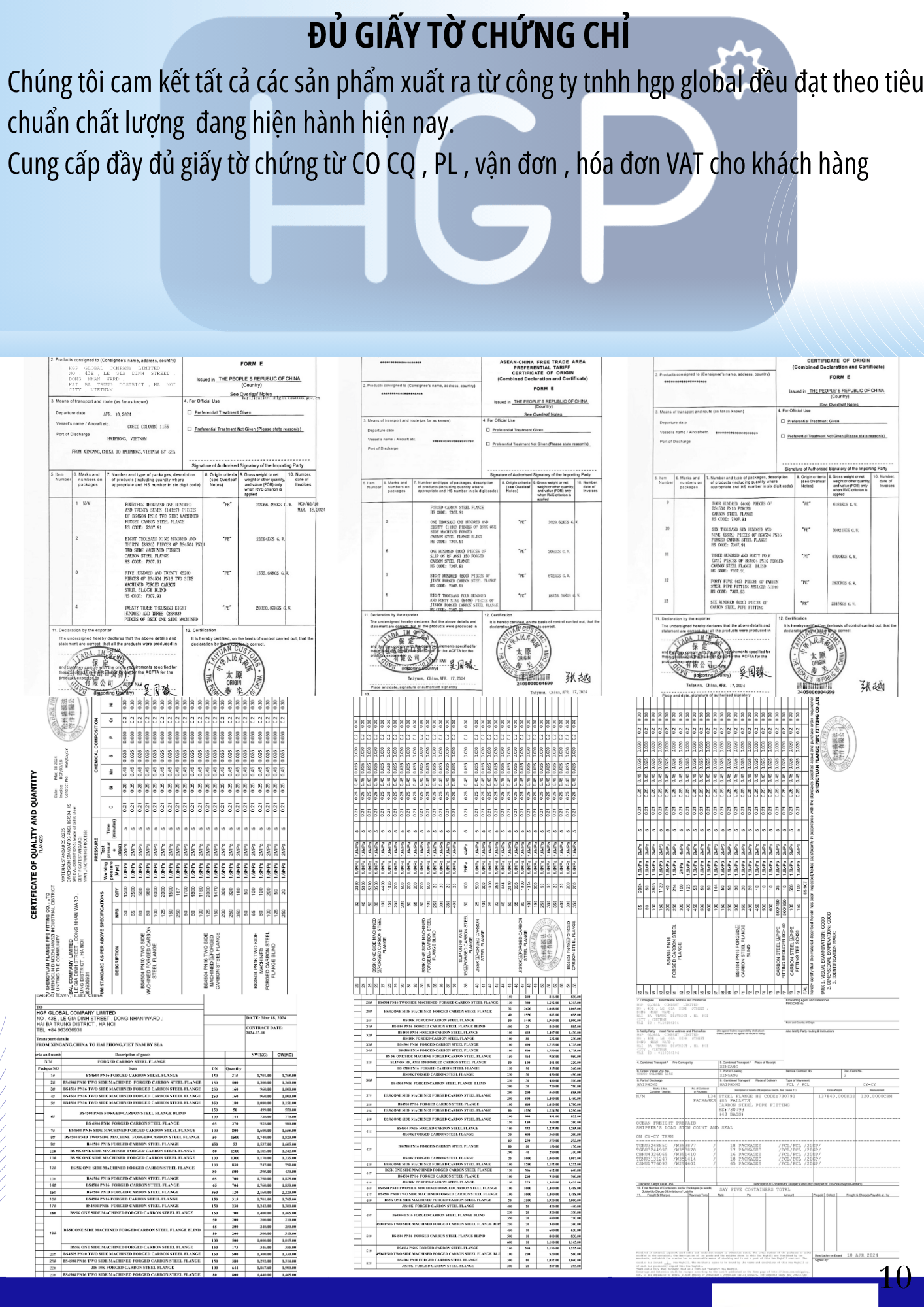 HGP 10